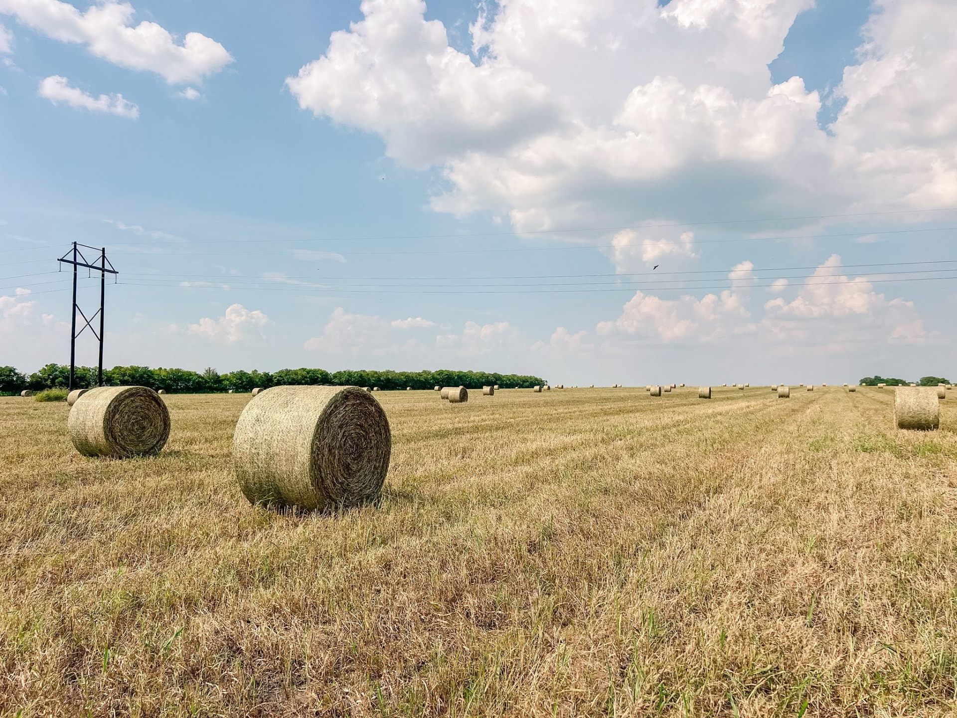Custom Hay Services